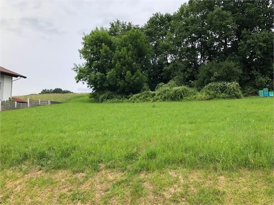 Blick auf das Grundstück von Süden