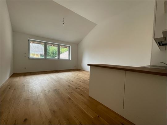 Wohnraum mit neuer Küche