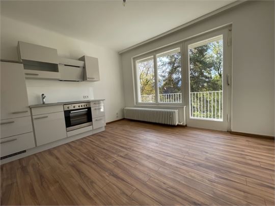 Wohnraum mit neuer Küche