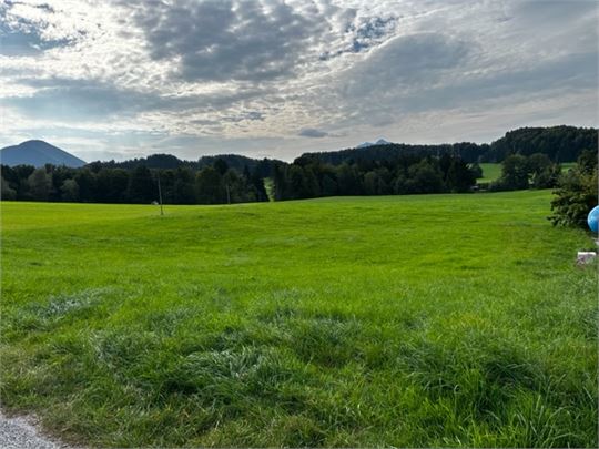 Blick auf das Grundstück