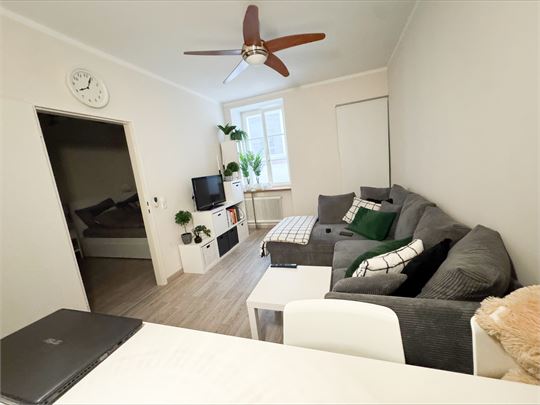 Wohnzimmer Wohnung 2