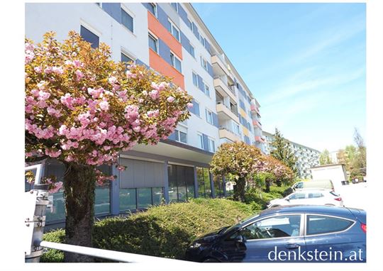 top Preis! 2 Zimmer Wohnung in Parsch Salzburg Stadt 