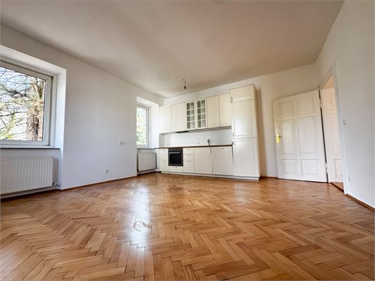 Wohnraum mit einer schönen Einbauküche