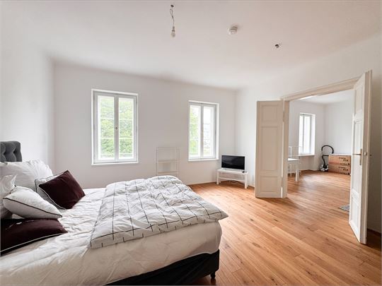 traumhafte 2 Zimmer Altbauwohnung an der Salzach