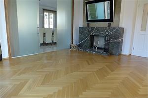 Luxus Villa - Einfamilienhaus - Parsch - Salzburg Stadt - Wohnzimmer