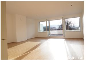 Wohnzimmer mit Kaminanschluß