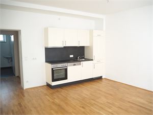 Wohnzimmer mit Wohnküche