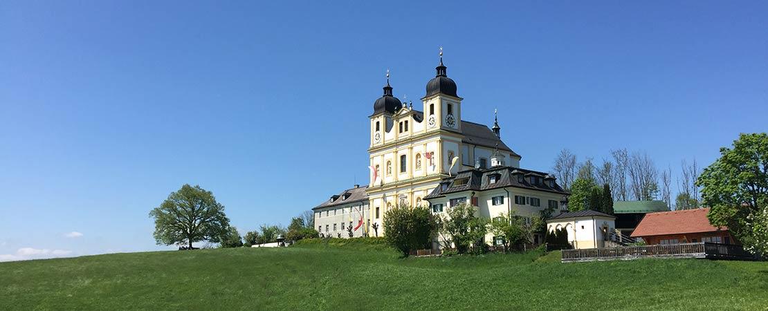 Immobilien in Bergheim bei Salzburg